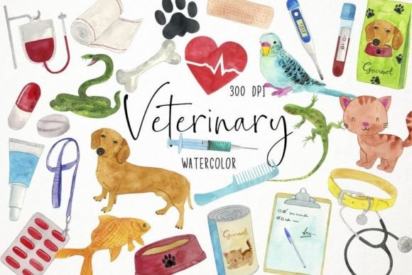 Download Watercolor Veterinary Clipart, Vet - Premium Resources